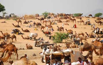 Fiera di Pushkar Rajasthan