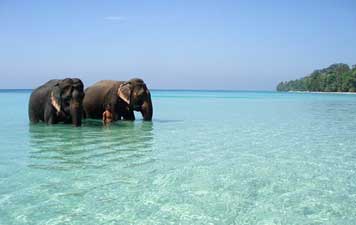 Viaggio in Andaman Nicobar